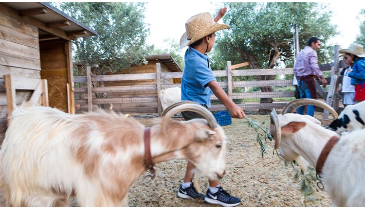 The Margi Hotel, Афины